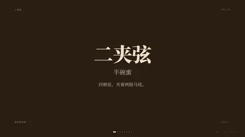 二夹弦